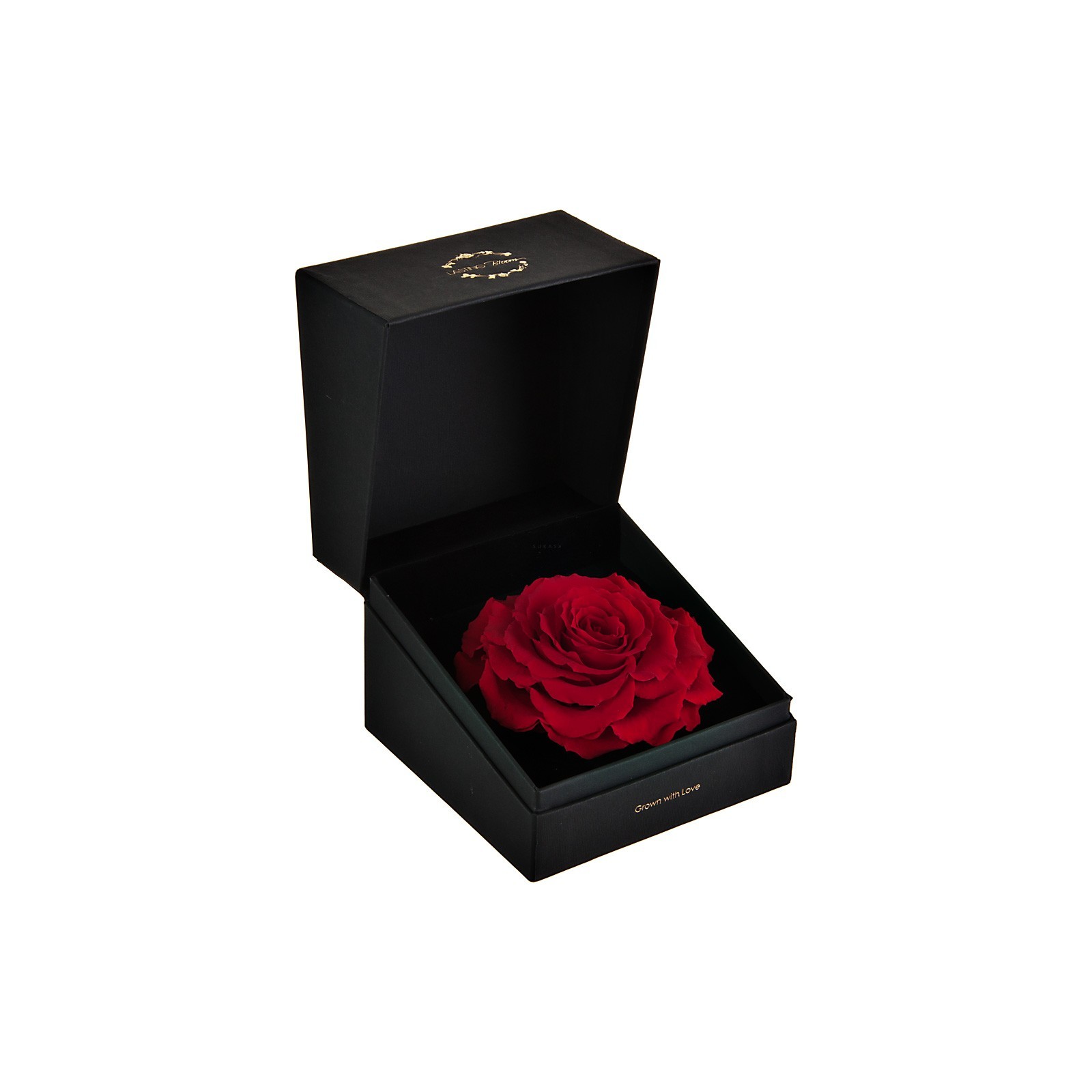 Rosa Preservada Sin Tallo En Caja Rojo Lasting