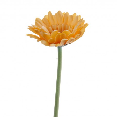 Flor Gerbera