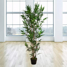 Planta con maceta Bamboo Haus