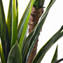 Planta artificial Yucca Haus