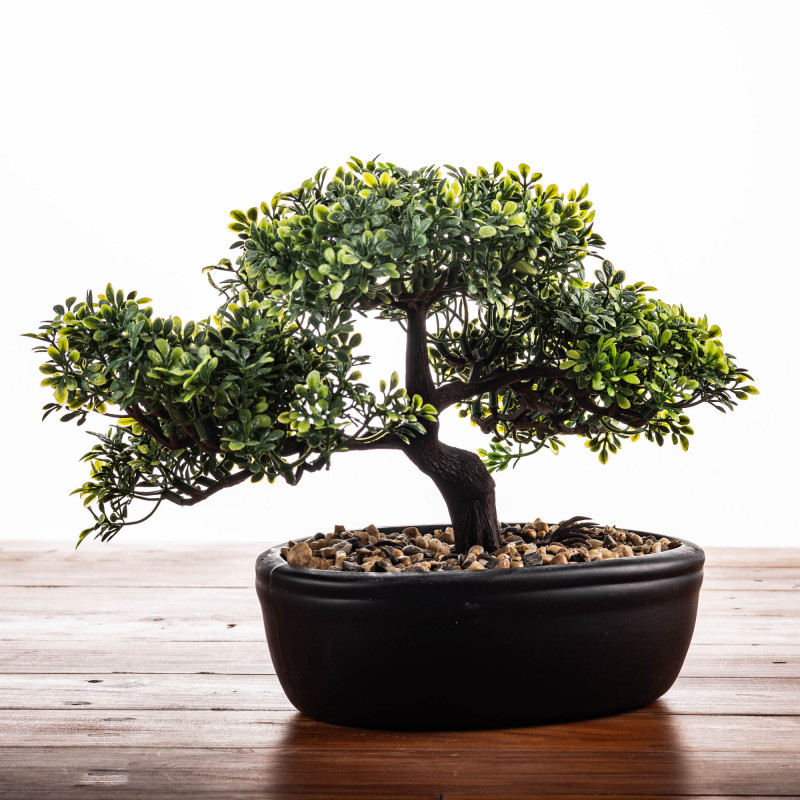 Árbol Bonsái Plástico con Maceta Negro de Cerámica Haus